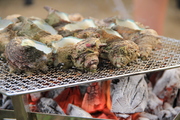 IMG_6814.JPG